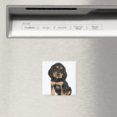 Aimant Portrait du studio du chiot Rottweiler (In Situ (Lave-vaisselle))