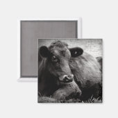 Aimant Portrait d'un Angus (Recto/Verso)