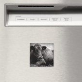 Aimant Portrait d'un Angus (In Situ (Lave-vaisselle))