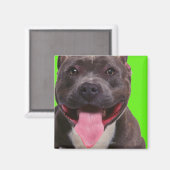 Aimant portrait d'un bulldog (Recto/Verso)