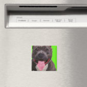 Aimant portrait d'un bulldog (In Situ (Lave-vaisselle))