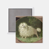 Aimant Portrait d'un caniche (Recto/Verso)