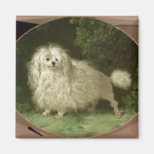 Aimant Portrait d'un caniche
