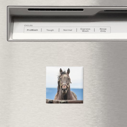 Aimant Portrait d'un cheval (In Situ (Lave-vaisselle))