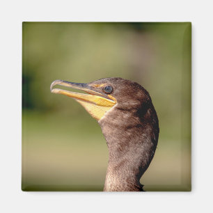 Aimant Portrait d'un Cormorant
