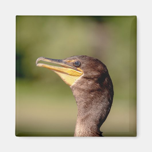 Aimant Portrait d'un Cormorant (Devant)