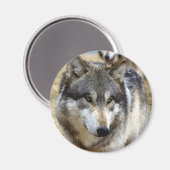 Aimant Portrait d'un loup (Recto/Verso)