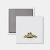 Aimant Portrait d'une grenouille dans un studio blanc (Recto/Verso)