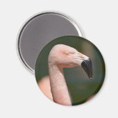 Aimant Portrait flamingo (Recto/Verso)