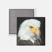 Aimant Portrait Majestic Bald Eagle (Recto/Verso)