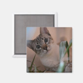 Aimant Portrait photo de chat (Recto/Verso)