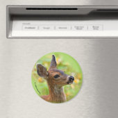 Aimant Portrait vierge du cerf de queue noire souriant Fa (In Situ (Lave-vaisselle))