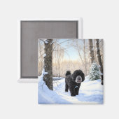 Aimant Portugais Water Dog Laisser neiger Noël (Recto/Verso)