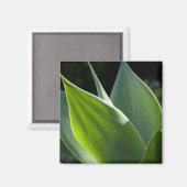 Aimant Portugal, Madère, Funchal. Botanique (Recto/Verso)