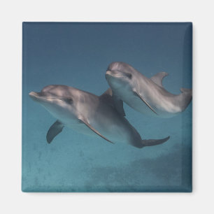 Aimant Pose espiègle