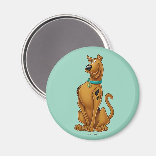 Aimant Pose Scooby-Doo Airbrush (Recto/Verso)