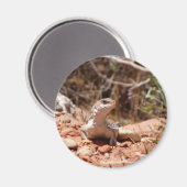 Aimant Posing pour la caméra (Recto/Verso)