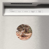 Aimant Posing pour la caméra (In Situ (Lave-vaisselle))