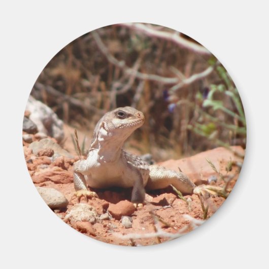 Aimant Posing pour la caméra (Devant)