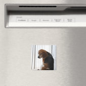 Aimant Position (In Situ (Lave-vaisselle))