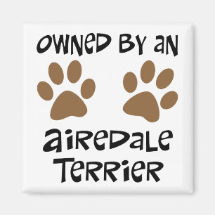 Aimant Possédé par Airedale Terrier