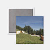 Aimant postalm road, weissenbachtal, (Recto/Verso)