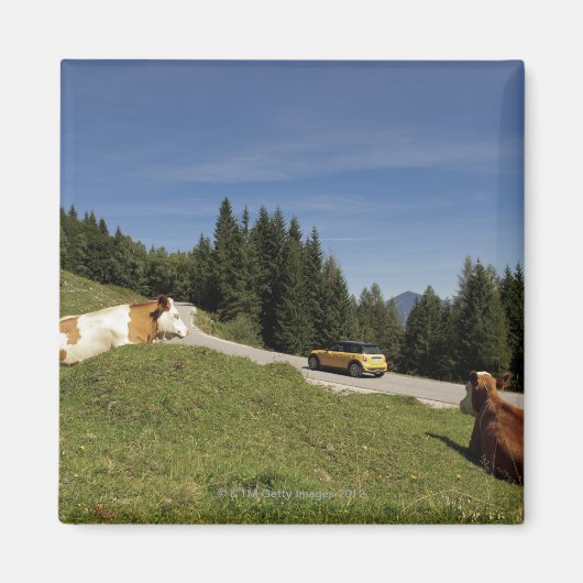 Aimant postalm road, weissenbachtal, (Devant)