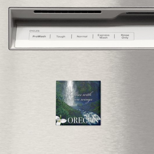 Aimant Poster de la cascade de l'Oregon (In Situ (Lave-vaisselle))