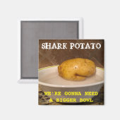Aimant Potato de requin ... nous allons avoir besoin d’un (Recto/Verso)