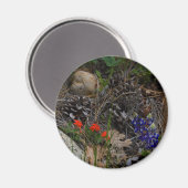 Aimant Potpourri (Recto/Verso)