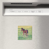 Aimant Poulain dans champ de pissenlits (In Situ (Lave-vaisselle))