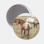 Aimant poulains (Recto/Verso)