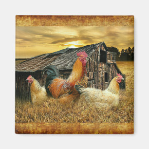 Aimant Poules à coq vintage Grotte à coop rustique