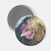 AIMANT POULET (Recto/Verso)