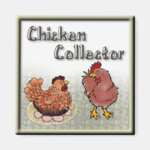 Aimant poulet-collecteur