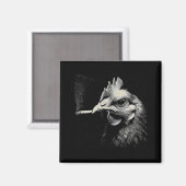 Aimant Poulet drôle fumant pipe Coq Ferme (Recto/Verso)