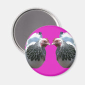AIMANT POULET DUO SUR MAGENTA (Recto/Verso)