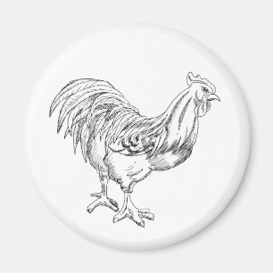 Aimant Poulet en stylo et encre