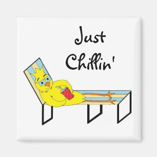 Aimant Poulet juste réfrigéré