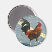 Aimant Poulet occidental clé (Recto/Verso)