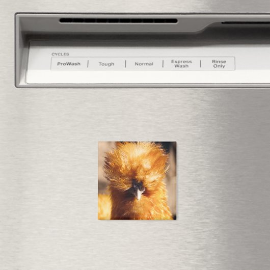 Aimant Poulet rouge à soie (In Situ (Lave-vaisselle))