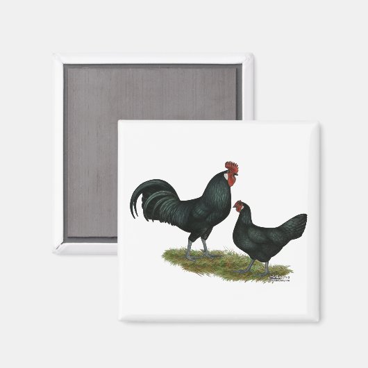 Aimant Poulets Augsburger (Recto/Verso)