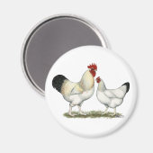 Aimant Poulets de la rivière Indian (Recto/Verso)