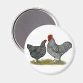 Aimant Poulets de Maline (Recto/Verso)