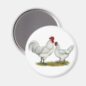 Aimant Poulets de pieds bleus (Recto/Verso)