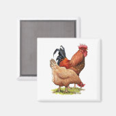 Aimant Poulets : dessin au crayon couleur Hen et Rooster (Recto/Verso)