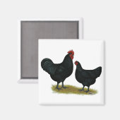 Aimant Poulets géants Jersey (Recto/Verso)