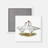 Aimant Poulets Ixworth (Recto/Verso)