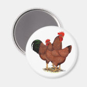 Aimant Poulets rouges de production (Recto/Verso)