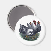 Aimant Poulets vintages (Recto/Verso)